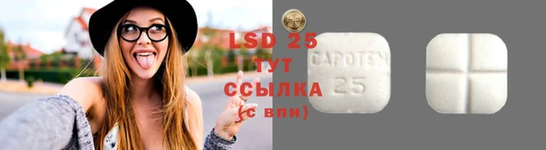 ПСИЛОЦИБИНОВЫЕ ГРИБЫ Верея