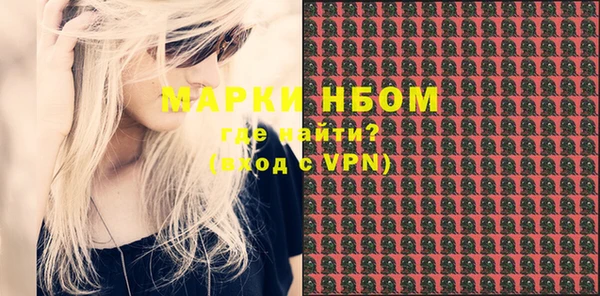 ПСИЛОЦИБИНОВЫЕ ГРИБЫ Верея