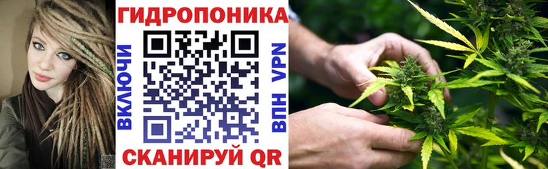 Бошки Шишки план  как найти наркотики  mega рабочий сайт  Циолковский 
